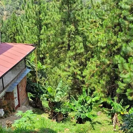 Luz De Luna - Hermosa Finca Familiar Con Vista Panoramica Y De Aves Cocorná Exterior foto